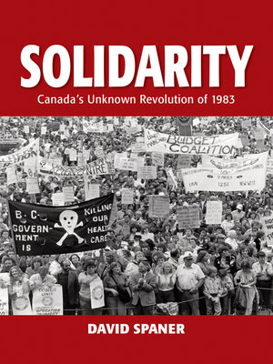 cover image of Solidarity